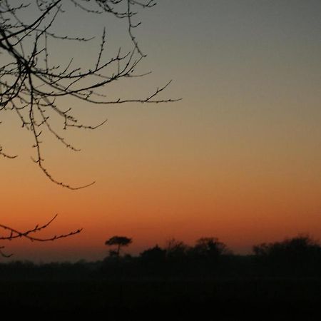Gite Le Coucher De Soleil Plessé 외부 사진